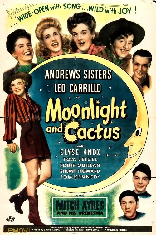 Moonlight and Cactus