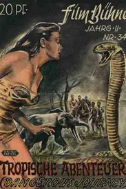 Dangerous Journey