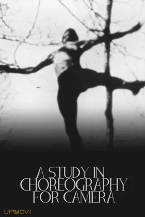 A Study in Choreography for Camera