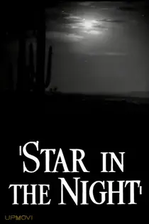 Star in the Night