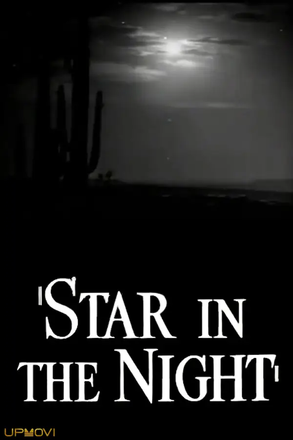 Star in the Night