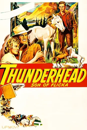 Thunderhead: Son of Flicka