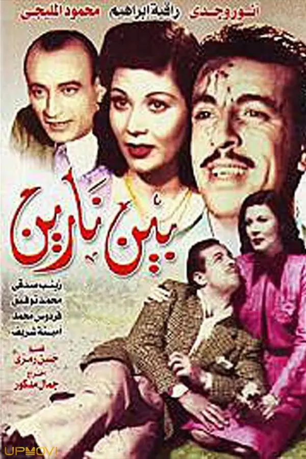 بین نارین