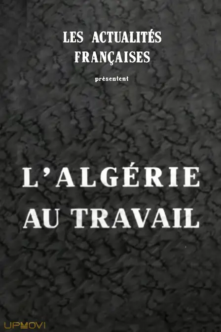 L'Algérie au travail