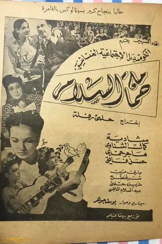 کبوتر صلح