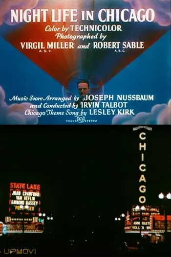 Night Life in Chicago