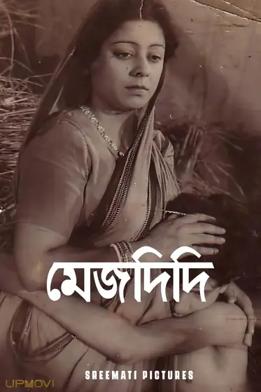 Mejdidi