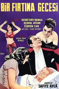 یک شب طوفانی