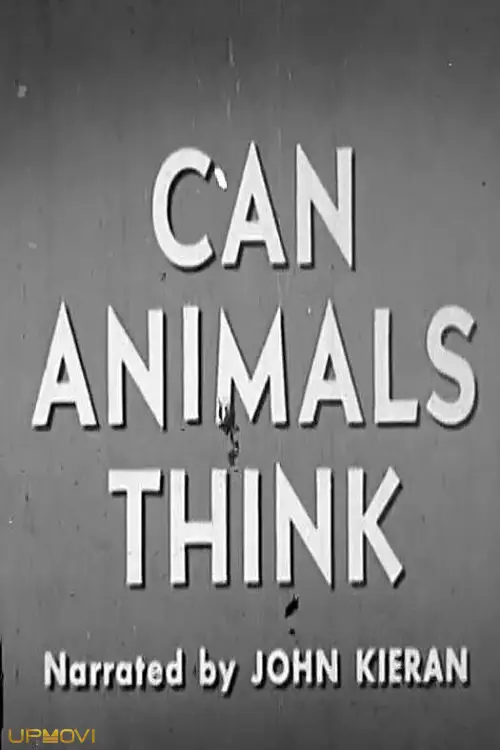 Can Animals Think