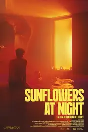 Sunflowers at Night