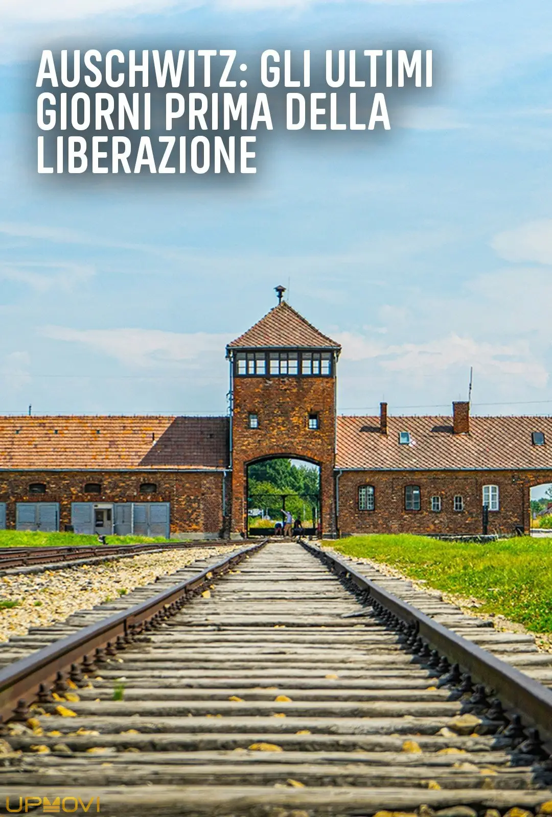 Auschwitz: Countdown to Liberation