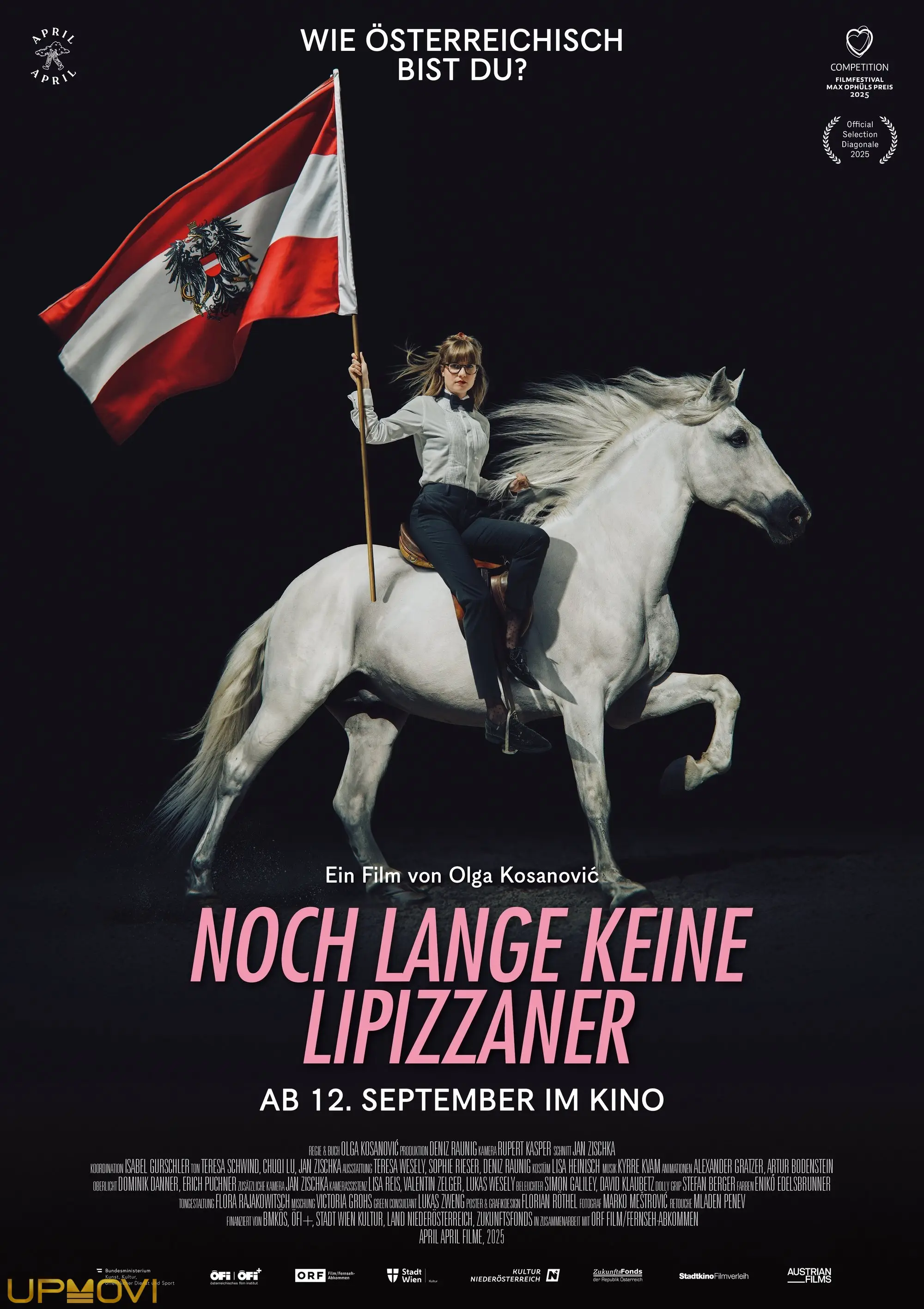 Noch lange keine Lipizzaner