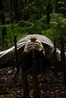 Bamboo Revenge