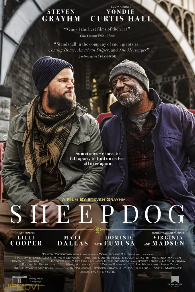 Sheepdog