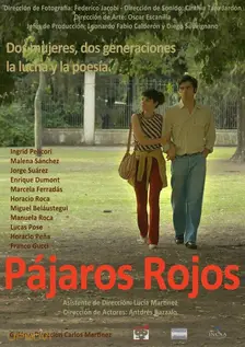 Pájaros rojos