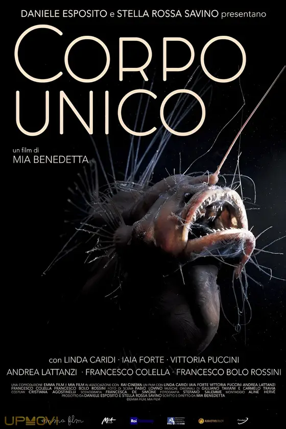 Corpo unico