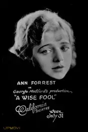 A Wise Fool