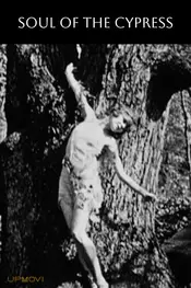Soul of the Cypress