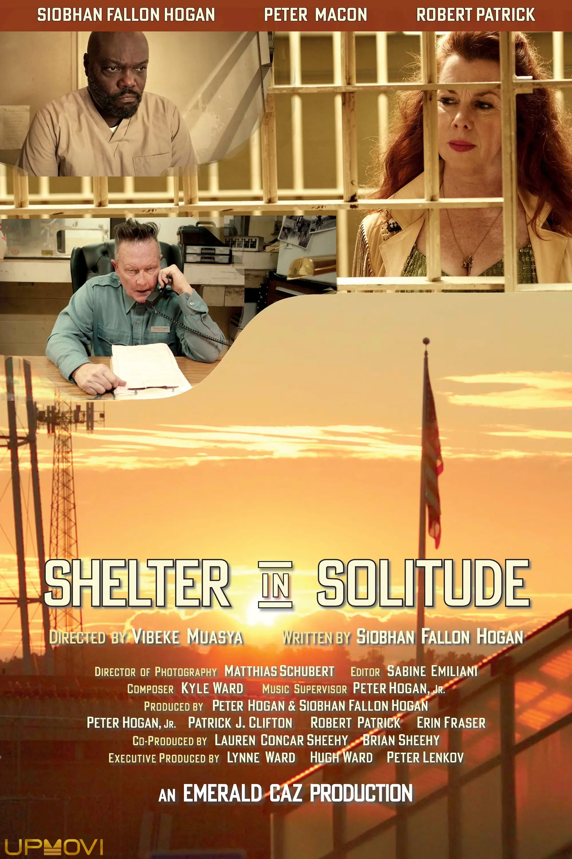 Shelter in Solitude