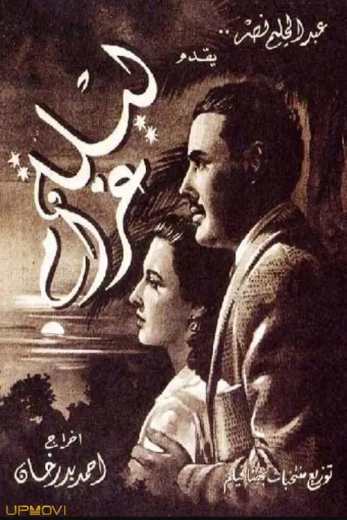 شبی از عشق