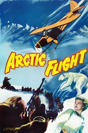 Arctic Flight