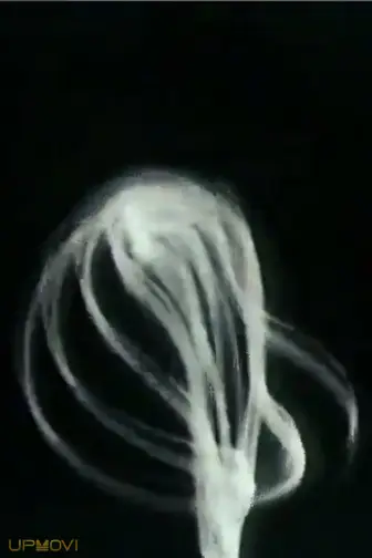 Smoked