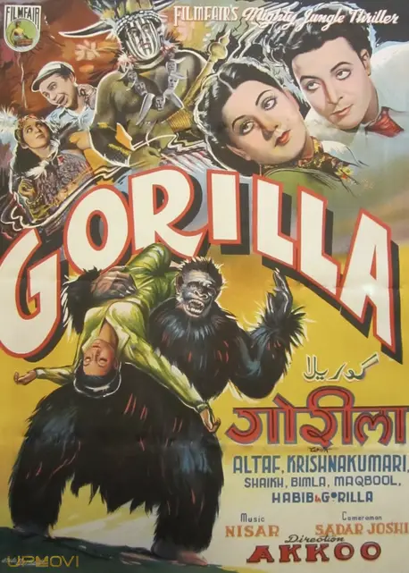 Gorilla