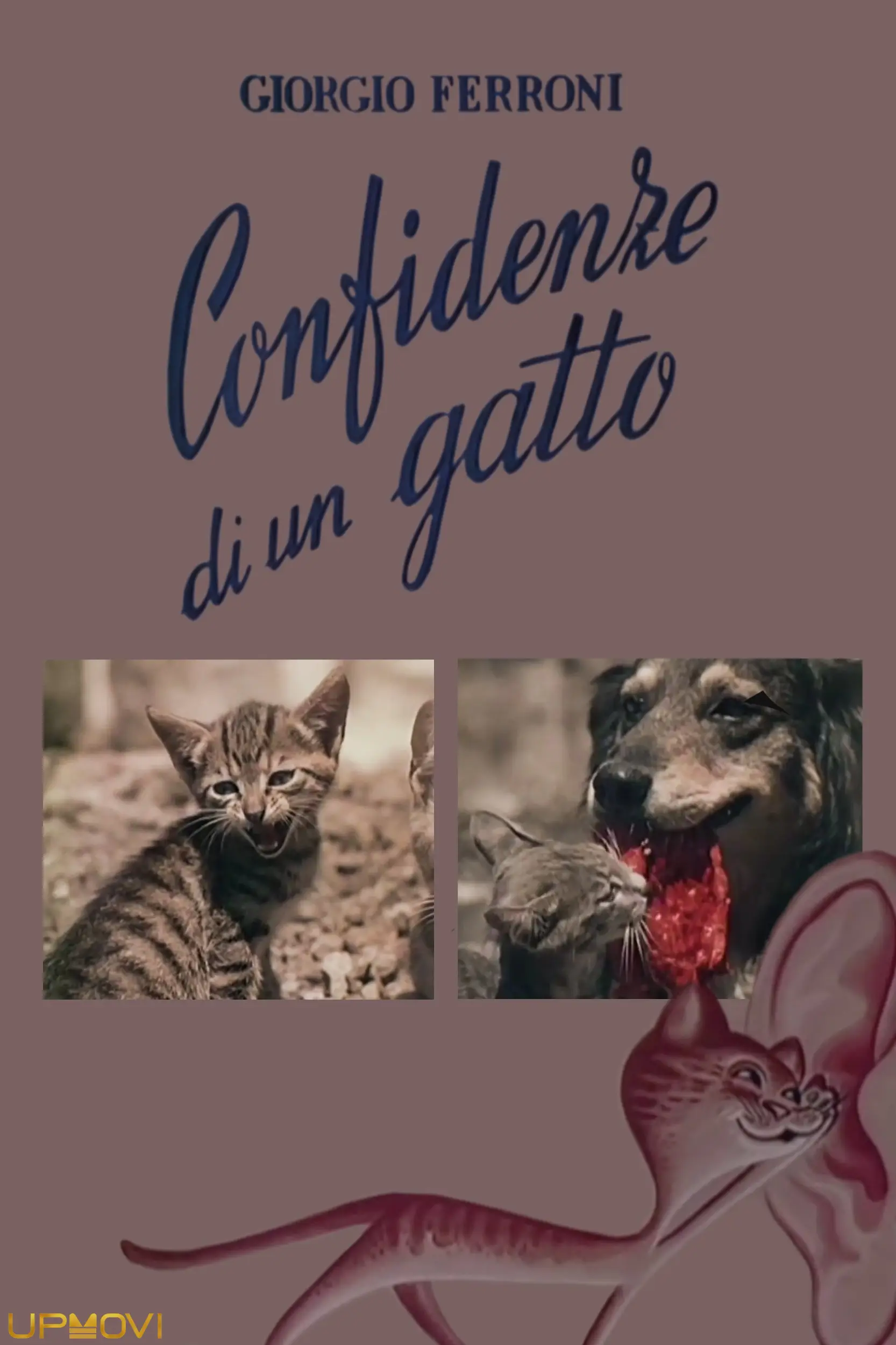 Confidenze di un gatto