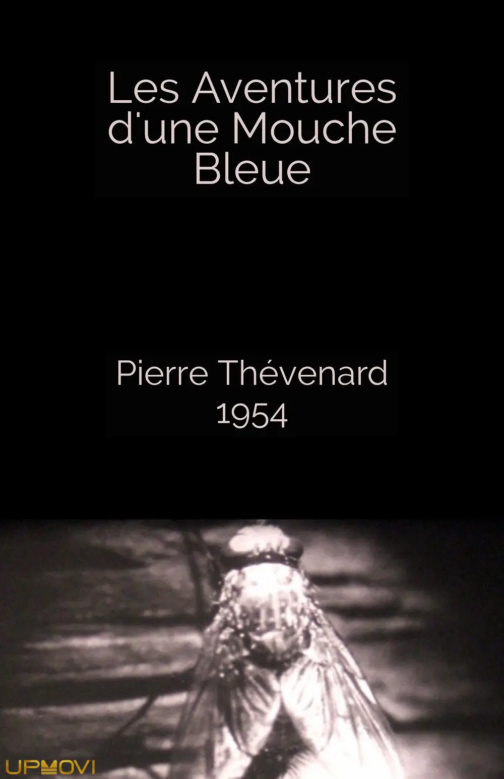 The Adventures of a Blue Fly