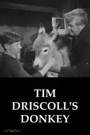 Tim Driscoll's Donkey