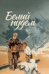 پودل سفید