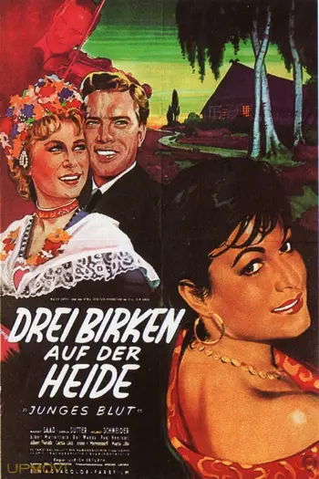 Drei Birken auf der Heide