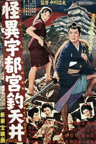 The Ceiling at Utsunomiya