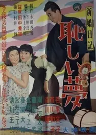 Shinkon nikki: Hazukashii yume