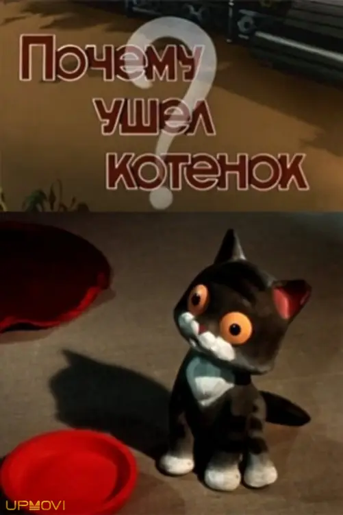 Why Did the Kitten Go Away?