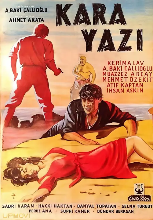 کارا نویس