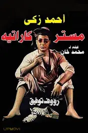 Mr. Karate