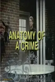 Anatomy of a Crime