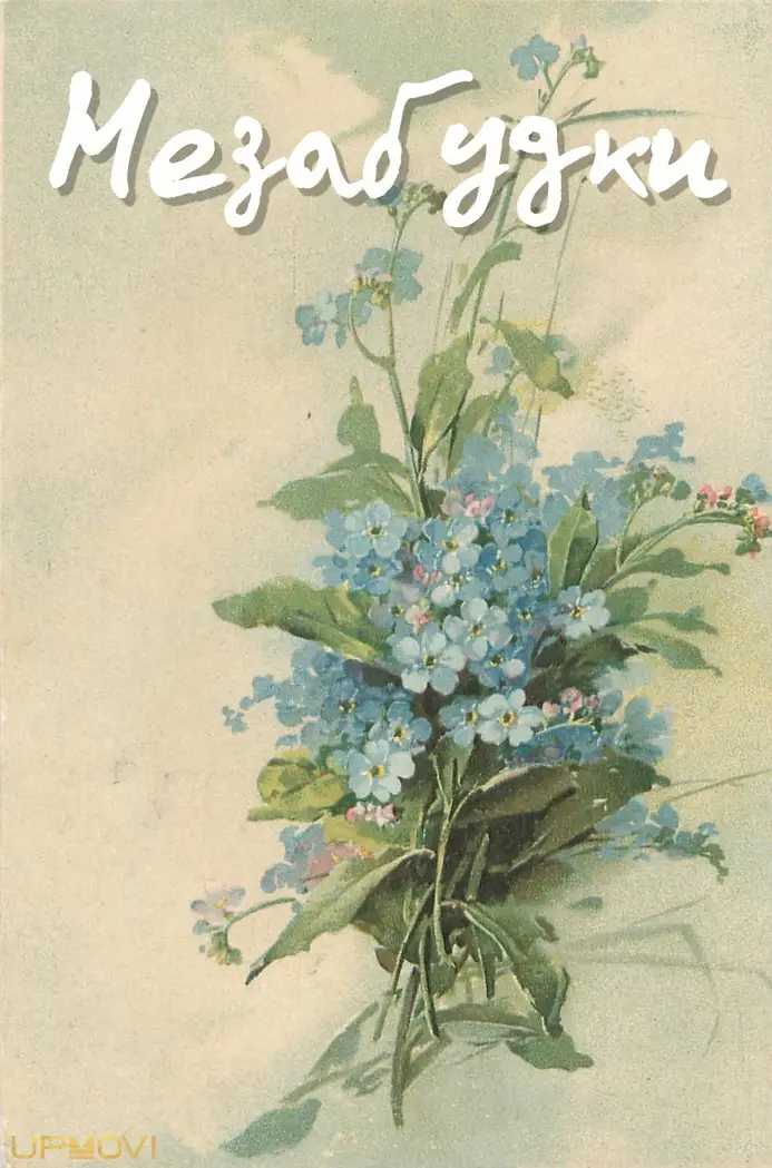 Forget-Me-Nots