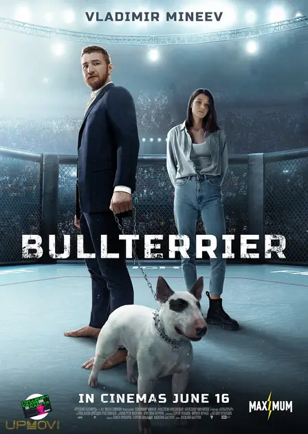 Bullterrier