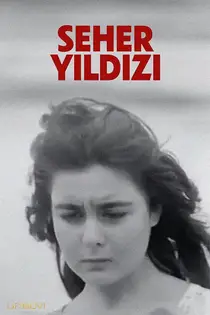 ستاره سحر