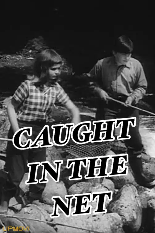 Caught in the Net