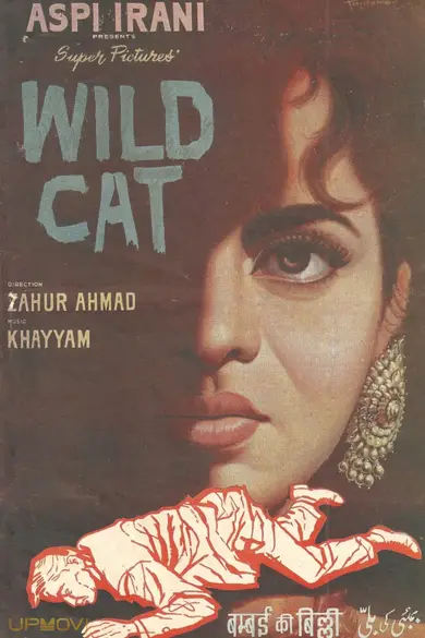 Wild Cat
