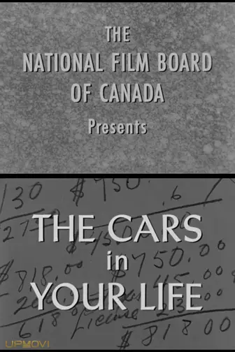 The Cars in Your Life