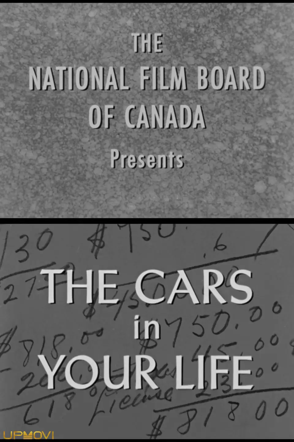 The Cars in Your Life