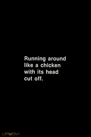 Running Around Like a Chicken With Its Head Cut Off