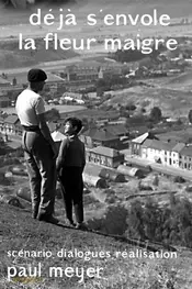 از شاخه‌ها گل پژمرده می‌ریزد