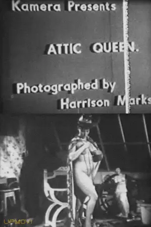 Attic Queen
