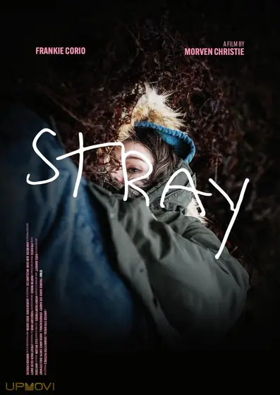 Stray