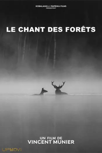 Le chant des forêts